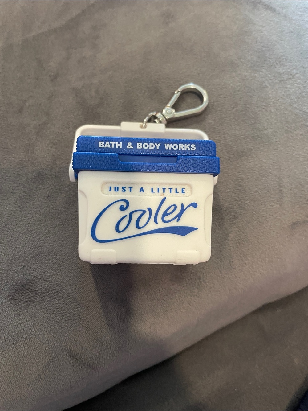 Cooler Sanitizer holder/keychain